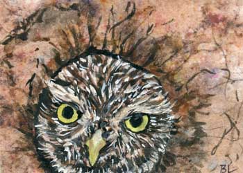 "Who Gives A Hoot" by Beverly Larson, Oregon WI - Watercolor